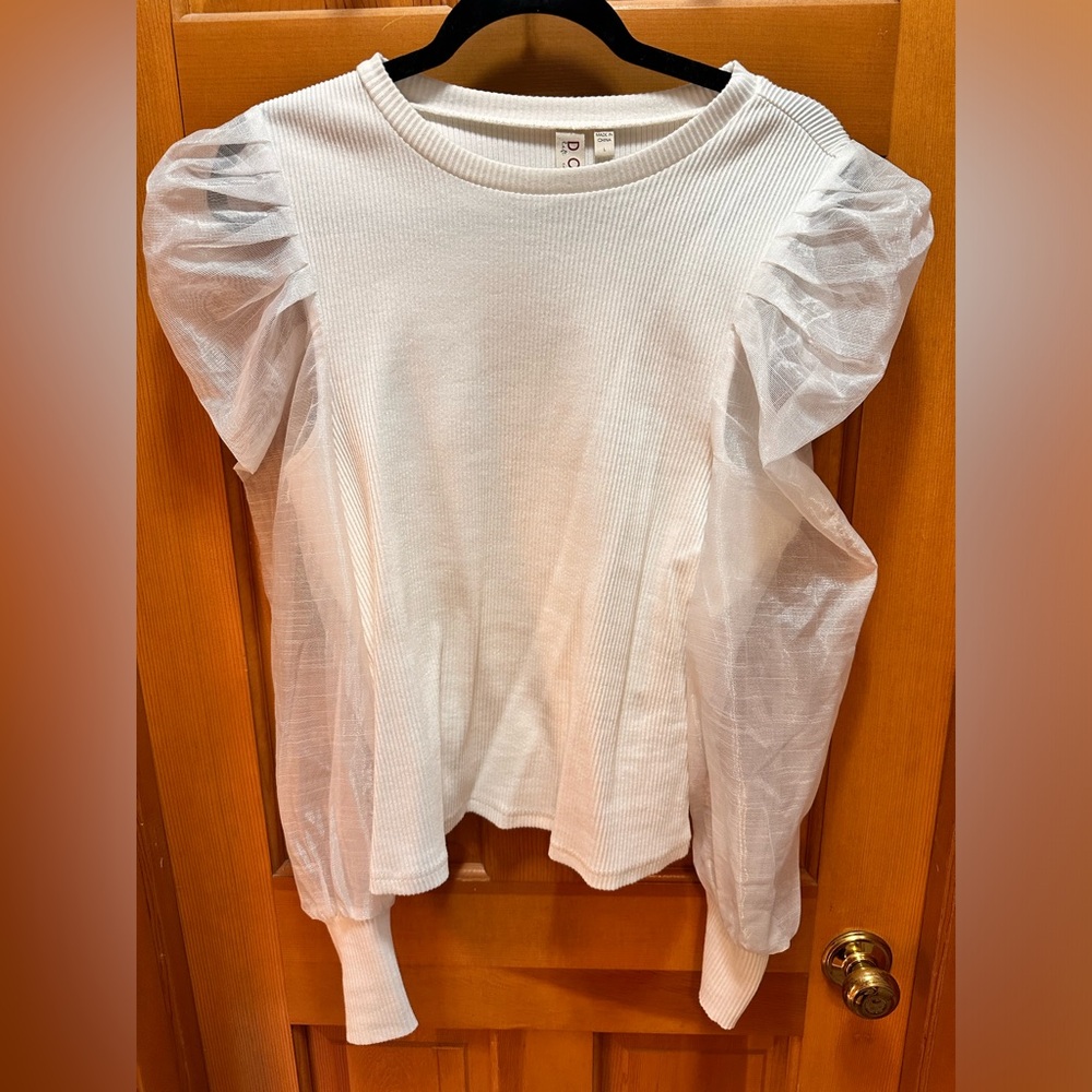 Puff sheer sleeve top from Anthropologie
